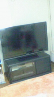 �����邩��TV�����